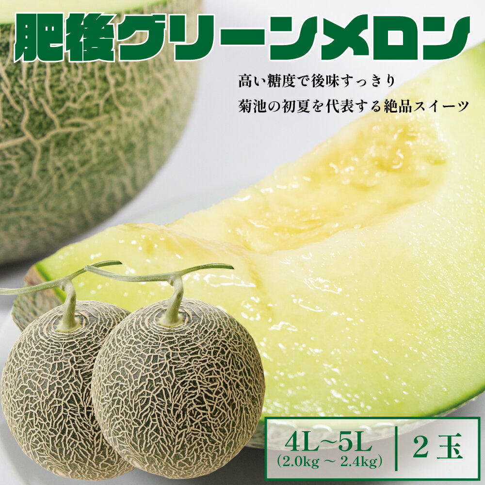 【ふるさと納税】肥後グリーンメロン 特大 4L～5Lサイズ 2玉 1玉約2～2.4kg メロン 果物 フルーツ 菊池市産 熊本県産 九州産 国産 送料無料 【2025年5月上旬～6月下旬に順次発送予定】