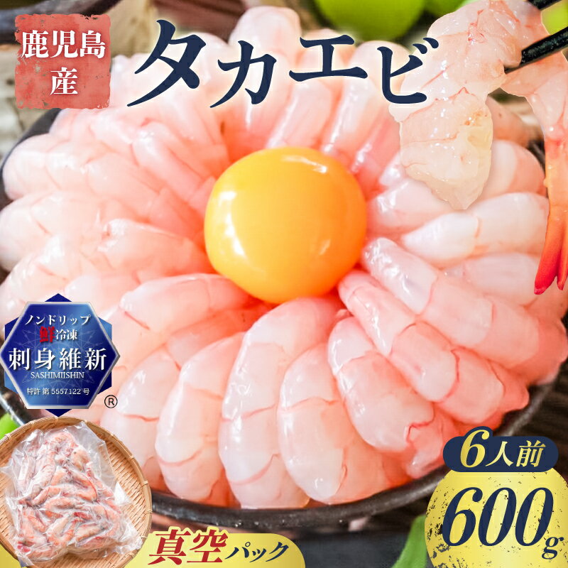 【ふるさと納税】 鹿児島産 タカエビ 600g 6人前 真空 パック 高海老 たかえび 海老 エビ 刺身 味噌汁 塩焼き 天ぷら フライ 魚介類 魚介 美味しい 酒の肴 冷凍 新鮮 有頭 ノンドリップ 急速冷凍 薩摩 甘えび 津曲商店 鹿児島 おすすめ ランキング プレゼント ギフト