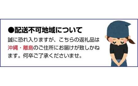 【先行予約】 先行予約！和歌山県産 秀品 キウイフルーツ 大玉15個入 こだわり農家厳選  【2025年12月初旬頃から2026年1月中旬頃順次発送】/ キウイ キウイフルーツ 果物 フルーツ おやつ