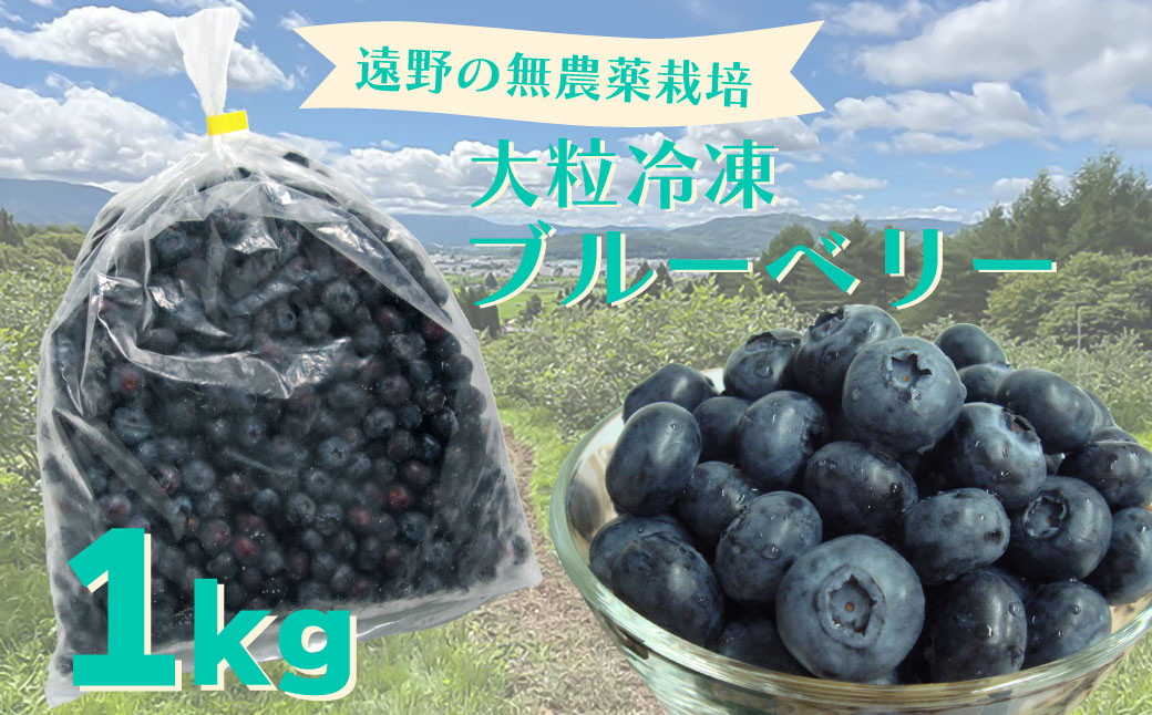 
            遠野で育った無農薬栽培の大粒冷凍ブルーベリーLサイズ・１kg【道の奥ファーム】
          