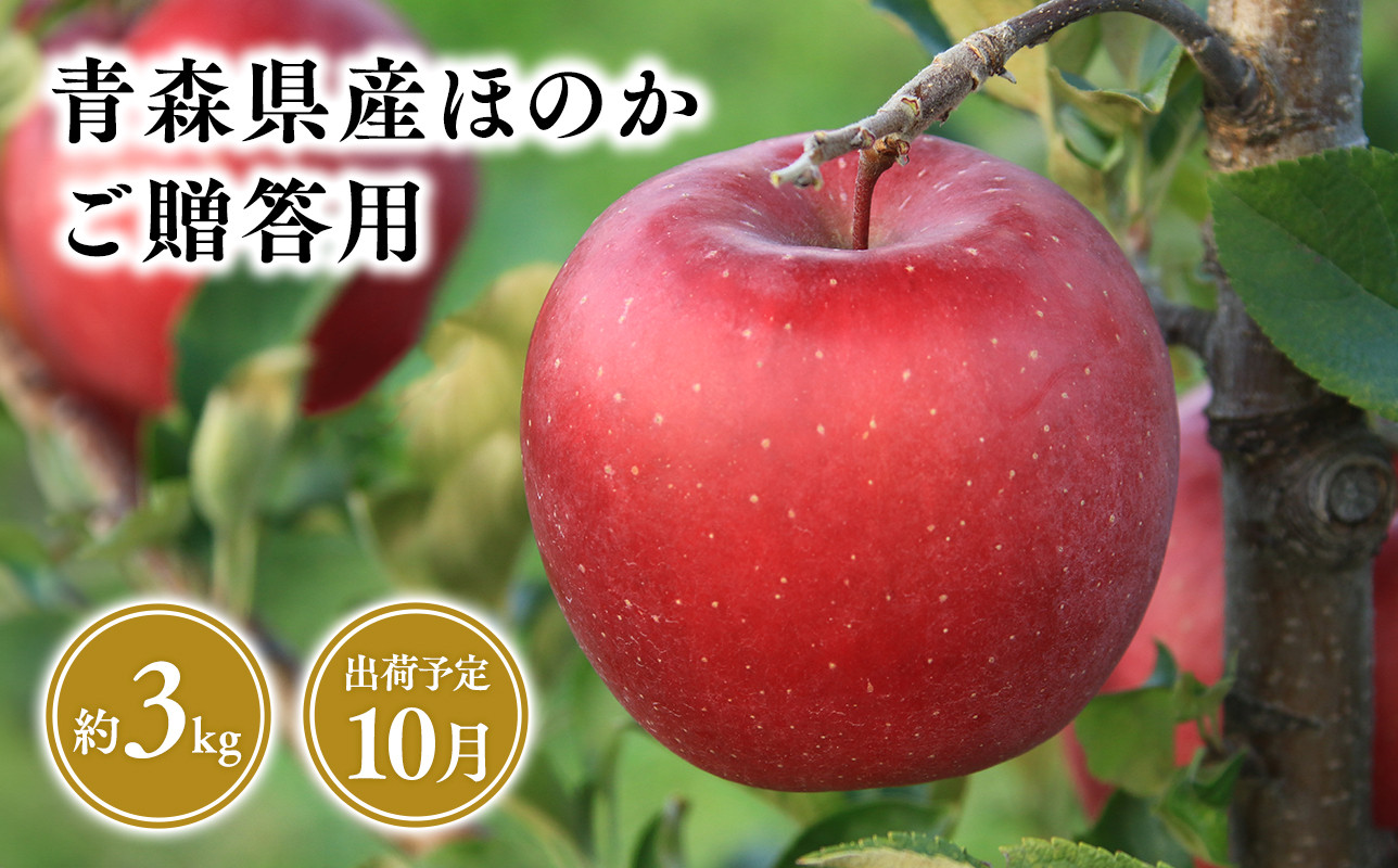 
            2025年産１０月発送　贈答用ほのか3kg【青森県 平川市 そと川りんご園】10月発送 贈答 青森 青森県産 平川 りんご リンゴ 林檎 くだもの 果物 フルーツ 
          