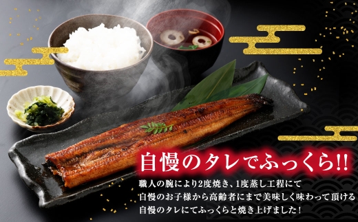 福岡県産肉厚ふっくらうなぎ蒲焼140g以上