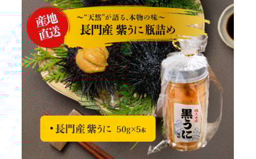紫うに 瓶詰め 50g 5本 山口県 長門市産 地物 国産 冷凍