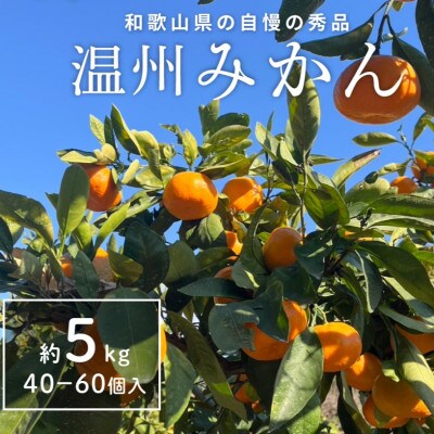 【2026年発送】和歌山県産温州ミカン約5kg(40個～60個入)秀品　味に自信あり!農家厳選【1707197】
