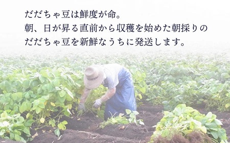 【令和8年産先行予約】 木村九八郎の朝採り！新鮮！だだちゃ豆 「本豆」 1kg（500g×2袋） 山形県鶴岡市産　K-829