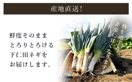 【先行予約】下仁田ネギ２L～３Lサイズ【4kg】 ※数量限定　 ANAR001 / 下仁田ネギ ネギ ねぎ 葱 産地直送 しもにたねぎ しもにたネギ 下仁田ねぎ 下仁田葱 ねぎ焼き ねぎ焼 鍋 すき焼