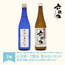 【ふるさと納税】 日本酒 六歌仙 2種セット 山法師 純米吟醸 720ml & 六歌仙 五段仕込み純米 720ml 送料無料