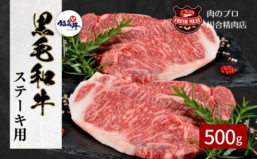 
【 福島牛 】 黒毛和牛 サーロインステーキ用 250g 2枚 計500g 冷凍保存 肉 牛肉 焼肉 ステーキ 旨味 贈答 ギフト プレゼント 人気 ランキング おすすめ グルメ 福島 ふくしま 田村 田村市 たむら 川合精肉店
