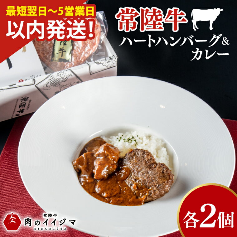 【ふるさと納税】 常陸牛ハートハンバーグ100g×2個 常陸牛カレー2個 詰め合わせセット レトルトカレー 化粧箱 12000円 敬老の日 【肉のイイジマ】茨城県 水戸市（DU-130）