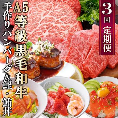 ふるさと納税 枕崎市 定期便(3回配送)枕崎お楽しみ便(A5黒毛和牛・手作りハンバーグ・まぐろ　かつお丼) LL-6005