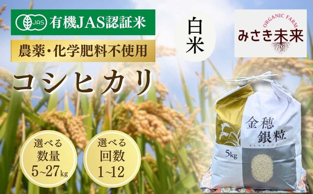 
                  【コシヒカリ】白米 選べる容量 単品 / 定期便 令和8年産 | 有機JAS米 有機栽培 有機米 精米 お米 米 こめ コメ 福島産 福島県産 南相馬 みさき未来 コシヒカリ こしひかり 福島県産コシヒカリ 福島県産こしひかり
                