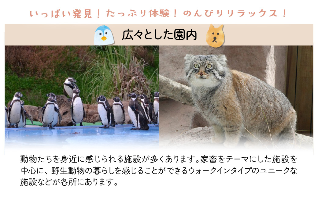 埼玉県こども動物自然公園 年間パスポート引換券 小人2名 | 動物園 年パス 子ども 子供 家族 ファミリー コアラ クオッカ カンガルー ペンギン 自然 小学生 年間利用 イベント アウトドア 入場