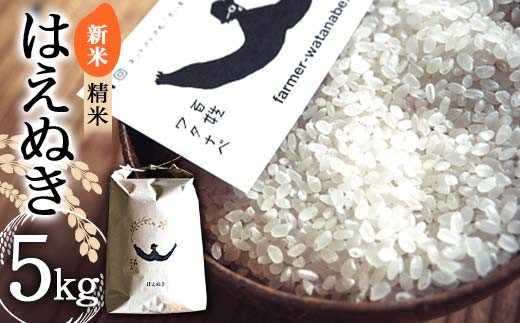 【令和7年産 新米 先行予約】 はえぬき (精米) 5kg 《令和7年10月上旬～発送》 『最上園』 米 白米 ご飯 農家直送 山形県 南陽市 [1680-R7]