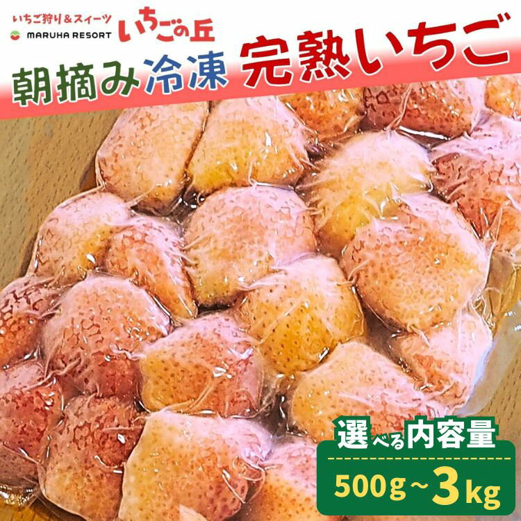 【ふるさと納税】＼選べる内容量／まるは食堂 マルハリゾート いちごの丘 『訳あり』 完熟 冷凍いちご | 訳あり いちご イチゴ 冷凍 国産 完熟 スムージー ジャム ヨーグルト シャーベット デザート アイス おやつ 果物 フルーツ 愛知県 ※北海道・沖縄・離島への配送不可
