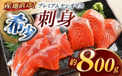 産地直送栃木県のブランド魚「プレミアムヤシオマス」の刺身 800g (200g×4パック)  [ 冷凍便 ] | 魚 ます 養殖 産地直送 栃木県