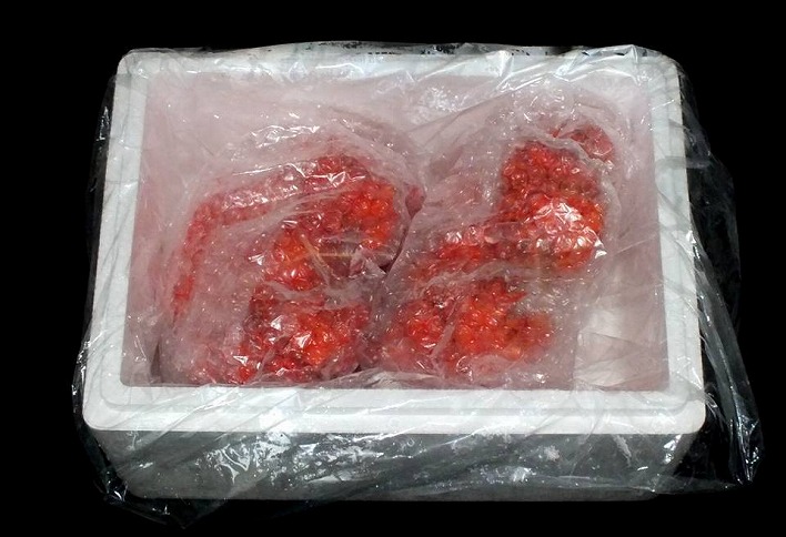 【北海道根室産】＜鮭匠ふじい＞ボイル花咲がに2尾(計約700g) G-42010