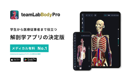 teamLabBody Pro Premiumプラン 1年分【215001】