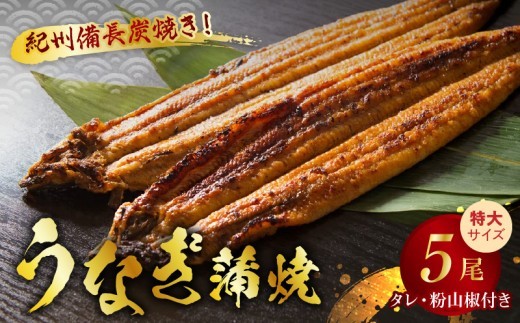 
                  炭焼き うなぎ 蒲焼 特大サイズ 5尾 セット（約200g前後 × 5尾）タレ 粉山椒 付き　国産 鰻　冷凍 ウナギ　1尾ずつ真空パック　土用の丑の日　紀伊国屋文左衛門本舗_V7303
                