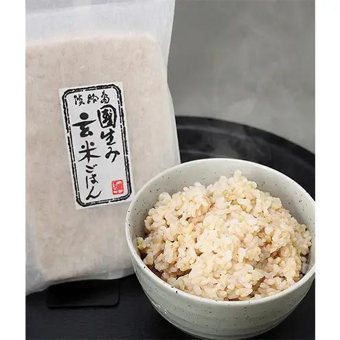 災害備蓄食 玄米ごはんパック4種 5食セット 災害備蓄食 洲本市