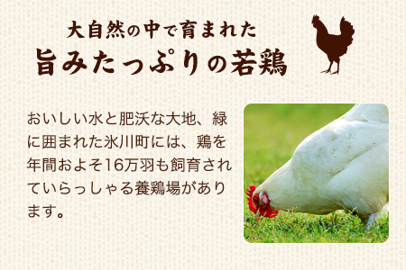 熊本県産 若鶏もも肉 約2kg×2袋 たっぷり大満足！計4kg！熊本県氷川町《1月下旬-3月下旬出荷》 からあげ チキン南蛮 炭火焼 BBQ チキンステーキ 鶏肉 とりにく チキン 冷凍