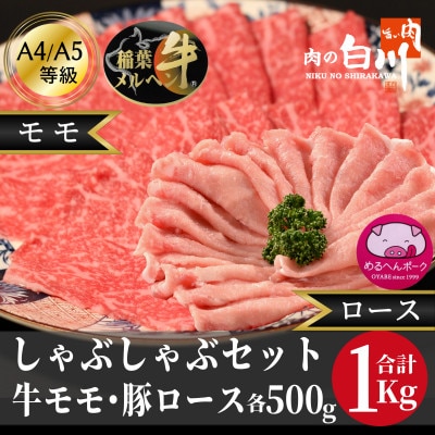 牛豚しゃぶしゃぶセット1kg(和牛モモ500g・豚ロース500g)【配送不可地域：離島・北海道・沖縄県・東北・中国・四国・九州】