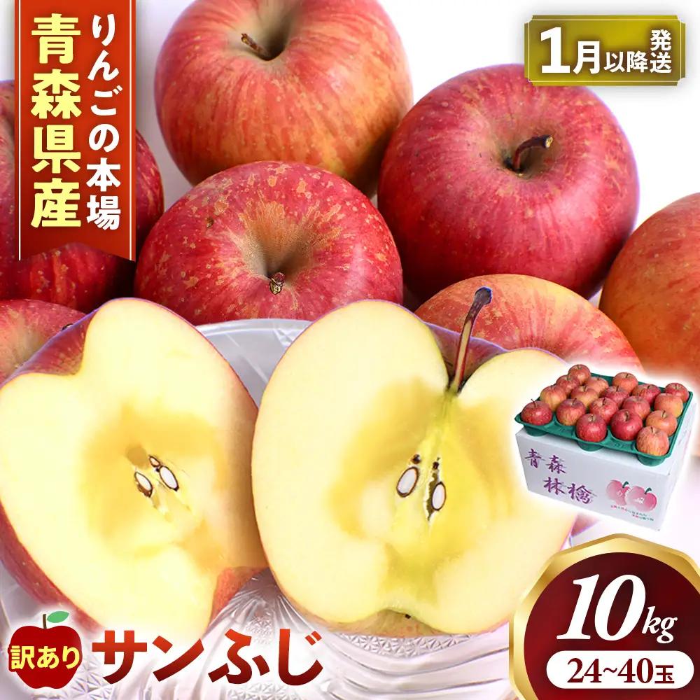 【訳あり】 大容量 青森県産りんご 1月～ サンふじ 10kg りんご