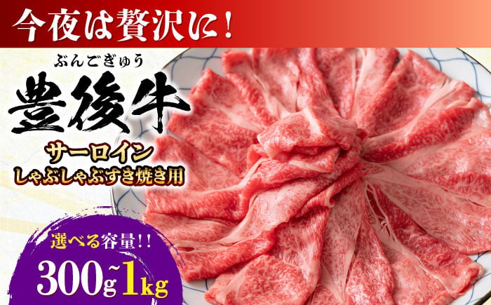 
            【選べる容量】【厳選部位】おおいた豊後牛 サーロイン しゃぶしゃぶすき焼き用 300g~1kg 日田市 / 株式会社MEAT PLUS　牛 うし 黒毛和牛 和牛 豊後牛 [AREI015-018]
          