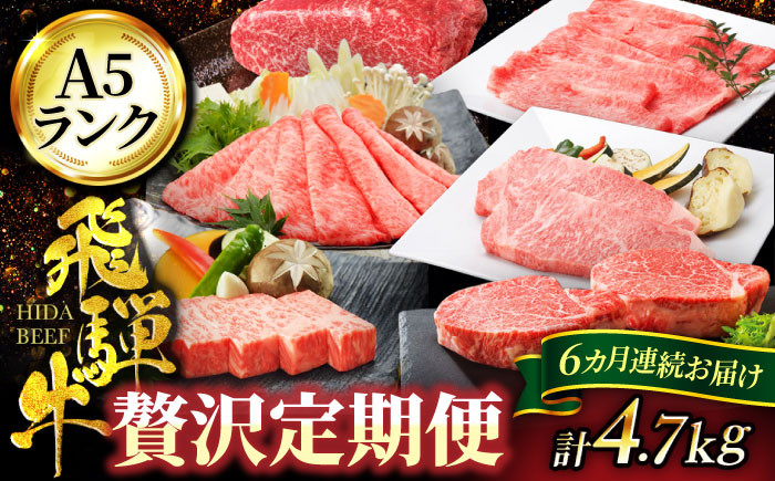 
【6回定期便】半年間お届けする A5ランク 飛騨牛 贅沢定期便コース【有限会社マルゴー】 もも肉 ヒレ肉 ロース サーロイン イチボ ランプ [MBE037]
