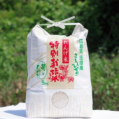 ふるさと納税 庄原市 夢のひかり　5kg(こしひかり)