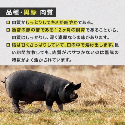 【毎月定期便】鹿追産 自然放牧黒豚 しゃぶしゃぶ各200g×3 ＆豚ジンギスカン300g×2全10回【配送不可地域：離島】