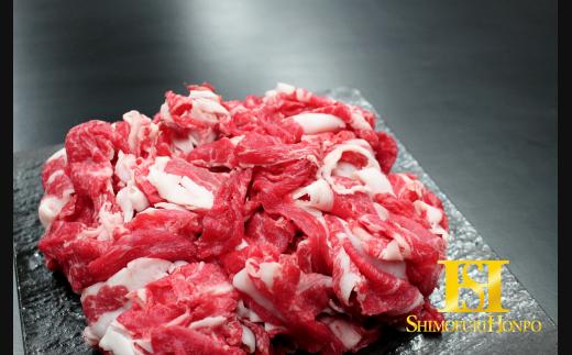 
松阪牛　小間切れ　500g　B-5／冷凍　瀬古食品　ふるさと納税　牛肉　松阪肉　名産　ブランド　霜ふり本舗　三重県　大紀町
