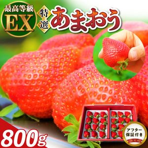 【2026年11月より順次発送】特選あまおう　800g_ いちご あまおう フルーツ 果物 〔Fi005〕