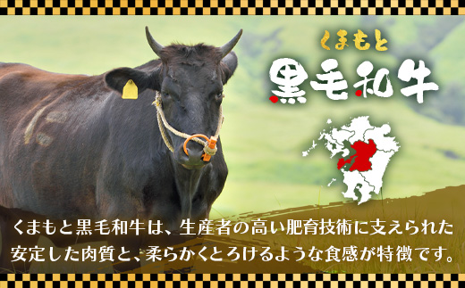くまもと 黒毛和牛 しゃぶしゃぶ セット 合計300g ( お肉ソムリエ 開発 橙ポン酢 付 ) ソムリエ セレクト 肩 ロース 焼き肉 やき肉 ポン酢 付 本場 熊本県 ブランド 牛 肉 くまもと 