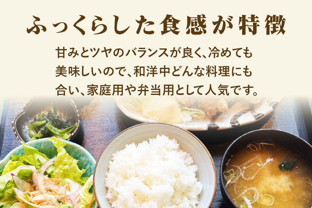 【令和7年産 白米】 宮城県産 天女ひとめぼれ 2kg 丹野米穀店 [ひとめぼれ 天女ひとめぼれ ブランド米 お米 白米 精米 米どころ 食卓 お弁当 おにぎり 宮城県産]