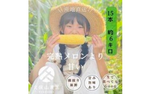 
            ＜2025年6月発送＞【完熟メロンのように甘い】朝採り!スイートコーン　約6kg15本前後【プレゼントにもオススメ】
          
