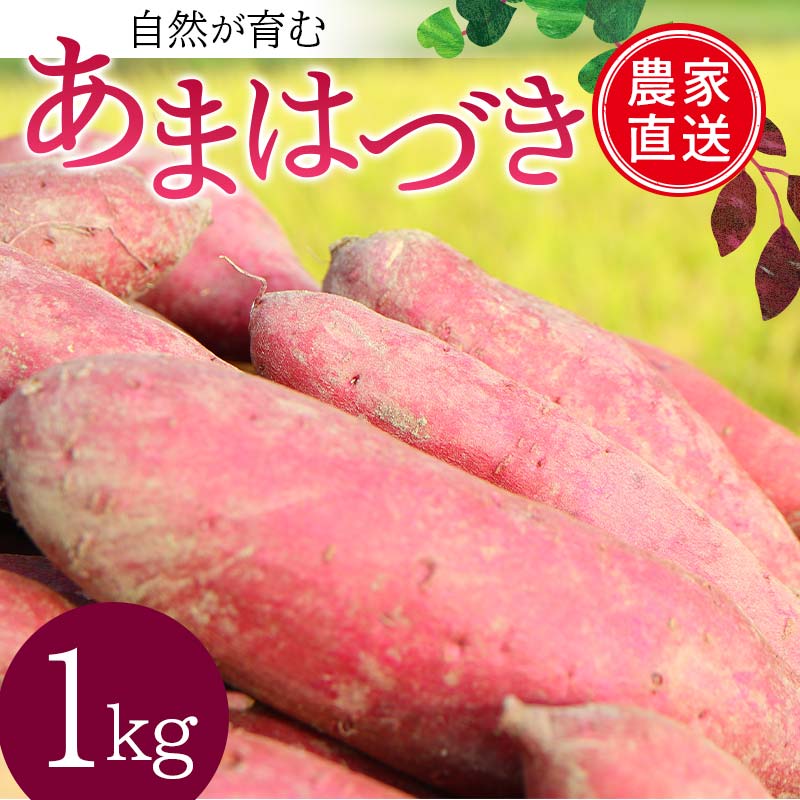 【ふるさと納税】 ＜2026年秋収穫分 先行予約＞ 自然が育む『あまはづき』1kg さつまいも サツマイモ 芋 F3S-2643