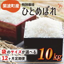 【ふるさと納税】 定期便 ふるさと納税 米 岩手県 白米 【12ヶ月連続お届け】令和5年産 岩手県紫波町産ひとめぼれ10kg【特別栽培米】(AC015|AC016)