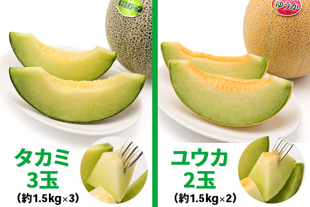 メロン [タカミ] [ユウカ] 5玉セット｜つがる市産 青森産 産直 2026年産 令和8年 夏 めろん 果物 フルーツ 旬 特産 藤農園 農福連携 先行受付 [0963]