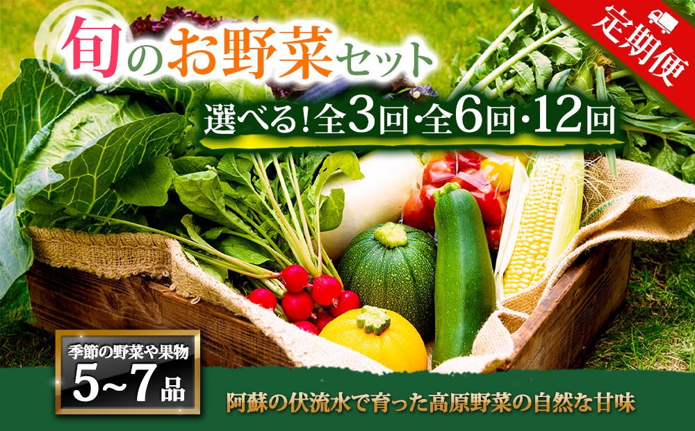 
                  【選べる回数】【定期便】＜畑から直送＞季節のお野菜セット Mサイズをお届け♪ 3回 6回 12回　定期便 野菜 新鮮 野菜セット 定期便 農家直送 産地直送 野菜 厳選 こだわり 朝採れ 採れたて フレッシュ サラダ 高原野菜 フルーツ 甘い 野菜 詰め合わせ おまかせ 大地の恵み ギフト 便利 食卓 野菜 家族 主婦 料理 お弁当 人気 おすすめ お取り寄せ 野菜 熊本県 阿蘇市
                