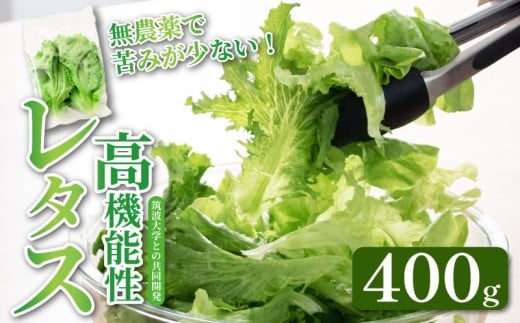 高機能性 レタス 無農薬 400g グリーンオーク 産地直送 高機能性野菜 水耕栽培 新鮮 健康 弁当 フードロス ダイエット ベジタブル ヴィーガン ベジタリアン アイクス 埼玉県 羽生市 