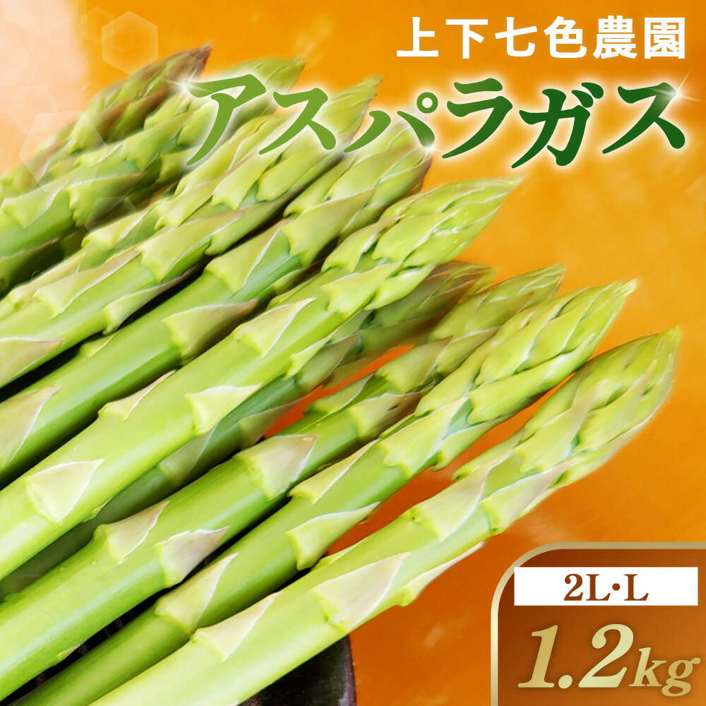 【ふるさと納税】上下七色農園 アスパラガス　2L・Lサイズ　ダンボール（1.2kg）［No.1095］／ アスパラガス グリーンアスパラ ギフト お中元 新鮮 みずみずしい 甘み やわらかい 国産 産地直送 朝採れ Lサイズ 2Lサイズ 家庭用 贈り物 春野菜 高級野菜 送料無料 広島県