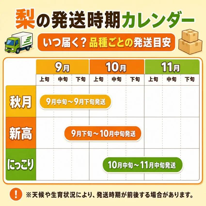 梨 にっこり 大玉 2玉 秀品 2kg | 2026年10月～11月発送  栃木県共通返礼品 栃木県産 矢板市