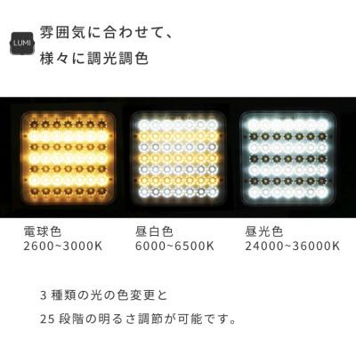 ふるさと納税 犬山市 【EVOKE/イヴォーグ公式】 LUMI ルーミー キャンプ用ランタン(ホワイト)|usb充電式 |  | 01