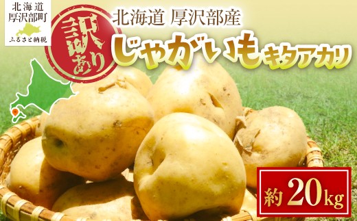 【2026年7月下旬頃より順次発送】(訳あり) じゃがいも キタアカリ 20kg 【 ふるさと納税 人気 おすすめ ランキング じゃがいも ジャガイモ キタアカリ カレー コロッケ 煮物 北海道 厚沢部 送料無料 】 ASG086