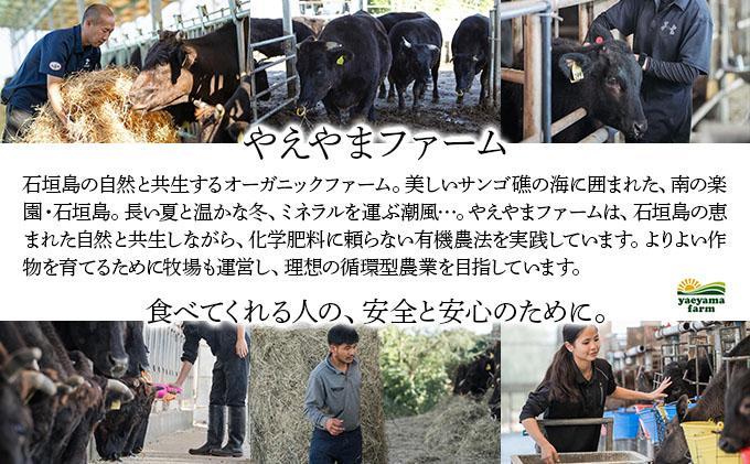 石垣島産経産黒毛和牛 1頭切り落とし 1kg
