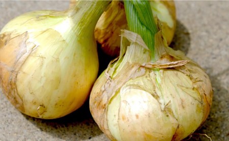 【柔らかくて甘い！】塩玉ねぎ（新玉ねぎ）約4kg（大玉） / 玉ねぎ 南島原市 / 長崎県農産品流通合同会社[SCB055]