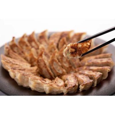 ふるさと納税 名古屋市 50年餃子　元祖肉餃子&amp;野菜増し肉餃子 各種40個入り