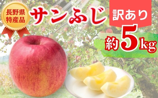 【2026年先行予約】サンふじ 約5kg 訳あり ｜ 果物 フルーツ リンゴ 林檎 サンフジ さんふじ 千曲市 長野県 信州