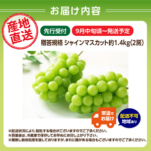 《先行受付》贈答規格シャインマスカット 約1.4kg（2房）【2025年9月中旬頃～発送予定】【山形ぶどう・大江町産・小林葡萄園】 024-003