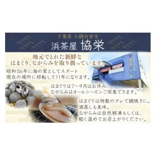 九十九里浜　天然はまぐり　1kg【厳選】（10月上旬より順次発送）ふるさと納税 はまぐり ハマグリ 蛤 天然 九十九里産 国産 ひな祭り 節句 おせち 千葉県 大網白里市 送料無料 P001